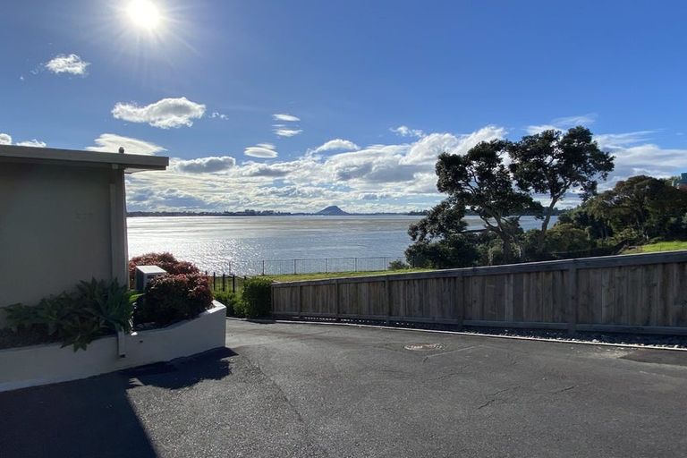 Photo of property in 272a Maungatapu Road, Maungatapu, Tauranga, 3112