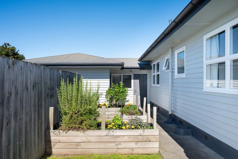 Photo of property in 12 Flanders Avenue, Onekawa, Napier, 4110