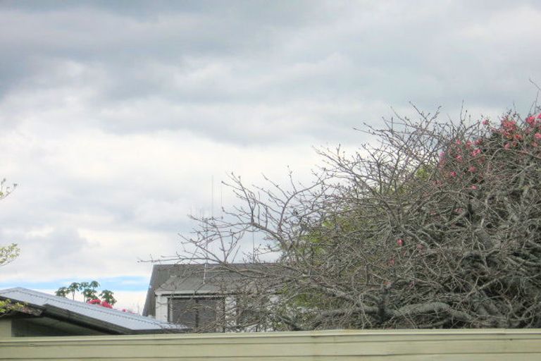 Photo of property in 11b Wiremu Street, Brookfield, Tauranga, 3110