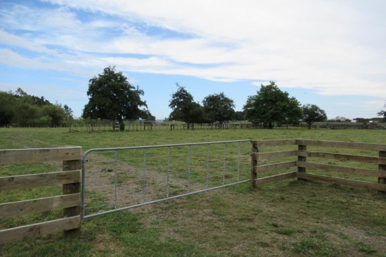 Photo of property in 81 Lindsay Road, Levin, 5510