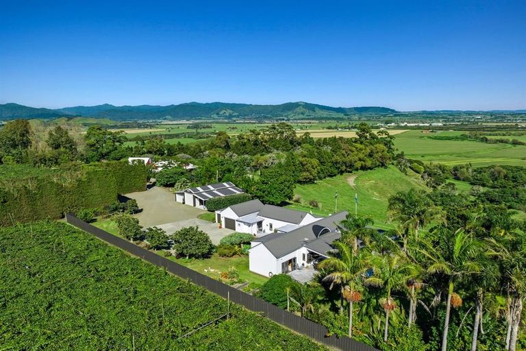Photo of property in 304 Tablelands Road, Tirohanga, Opotiki, 3197