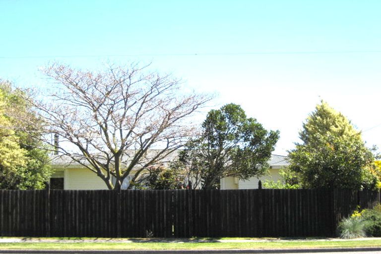 Photo of property in 228 Scott Street, Redwoodtown, Blenheim, 7201