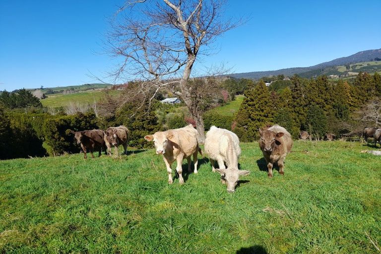 Photo of property in 12 Upland Road, Aongatete, Katikati, 3181