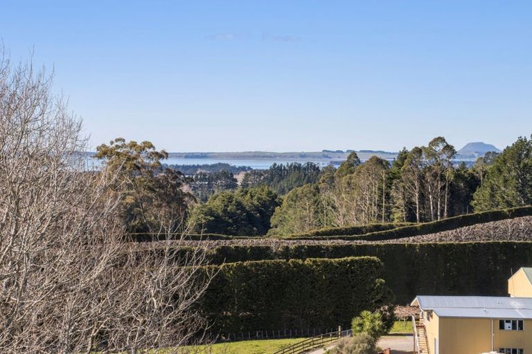 Photo of property in 319 Busby Road, Tahawai, Katikati, 3170