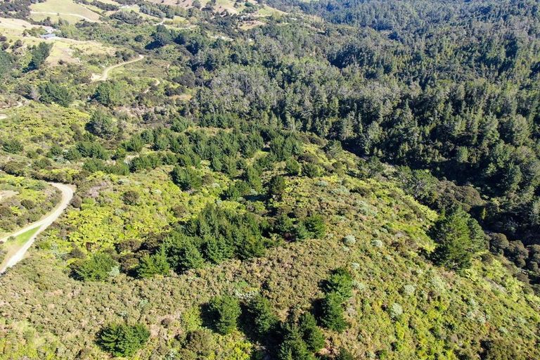 Photo of property in 427 Bennett Road, Te Mata, Thames, 3575