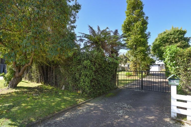 Photo of property in 137 Koutu Road, Kawaha Point, Rotorua, 3010