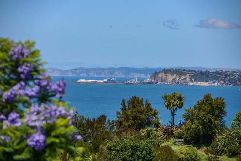 Photo of property in 11 Kaimata Road, Bay View, Napier, 4182