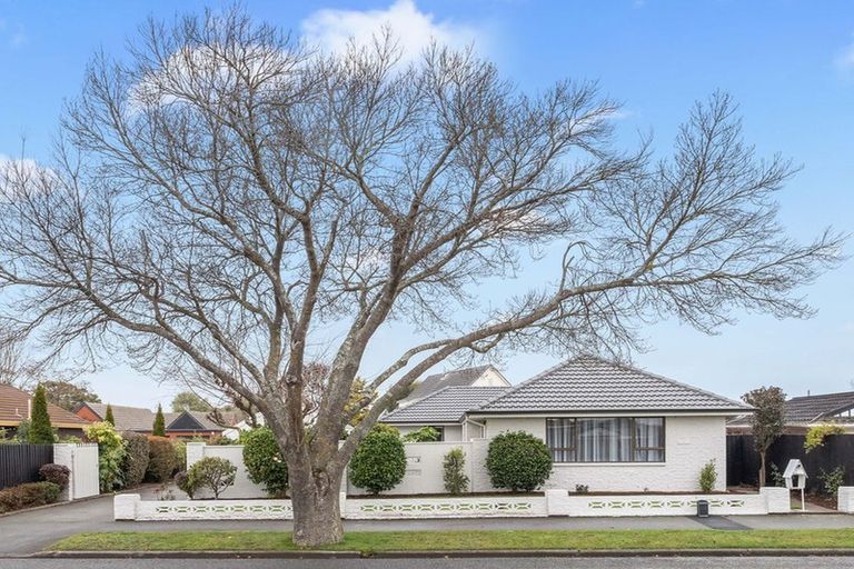Photo of property in 6 Melville Street, Bishopdale, Christchurch, 8053