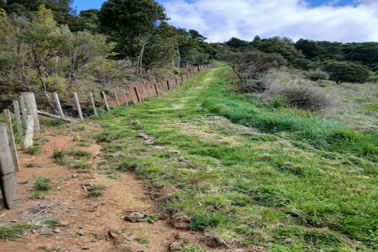 Photo of property in 403 Maungatawhiri Road, Raglan, 3295