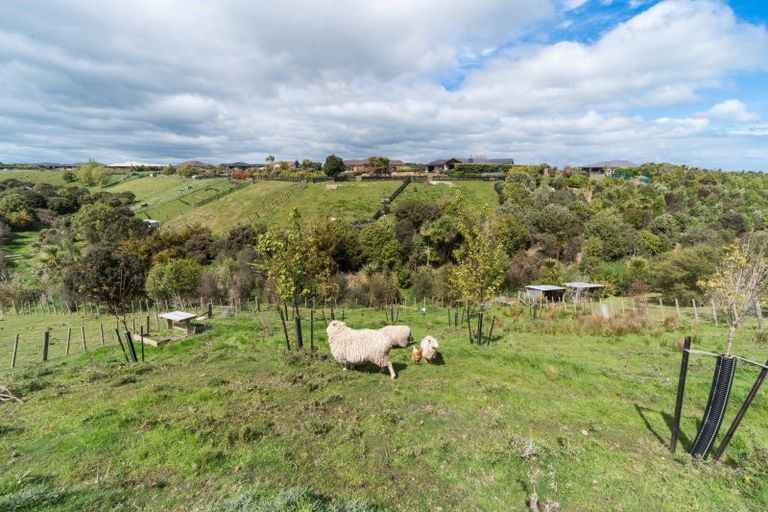 Photo of property in 49 Wapiti Avenue, Feilding, 4775