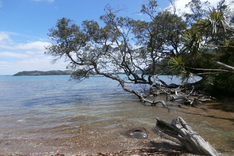 Photo of property in 43 Tahunatapu Road, Parua Bay, Whangarei, 0174