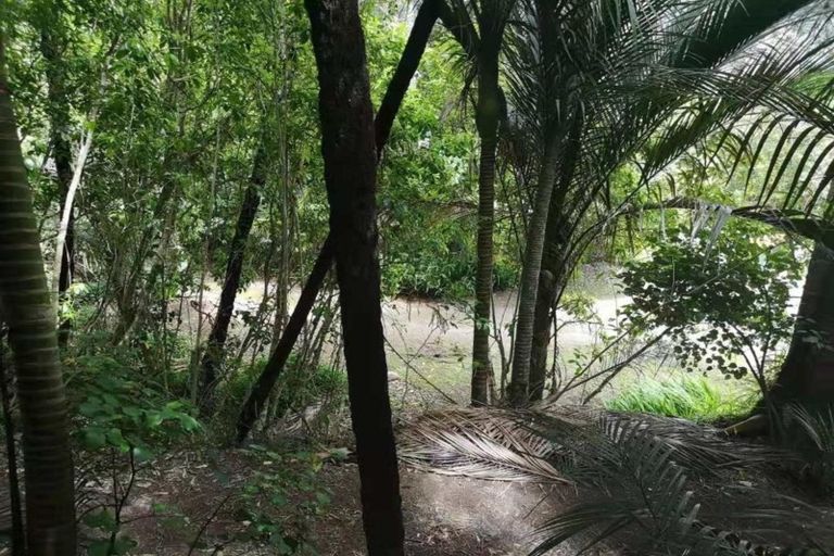 Photo of property in 30 Ocean View Road, Huia, Auckland, 0604