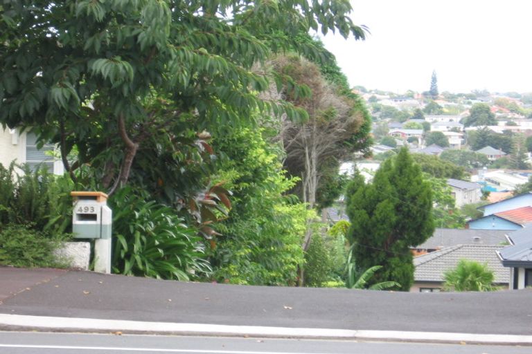 Photo of property in 493 Mount Albert Road, Mount Roskill, Auckland, 1042
