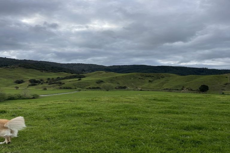 Photo of property in 287 Wentworth Valley Road, Whangamata, 3691