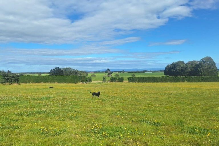 Photo of property in 60 Forest Hill Cemetery Road, Lochiel, Winton, 9781