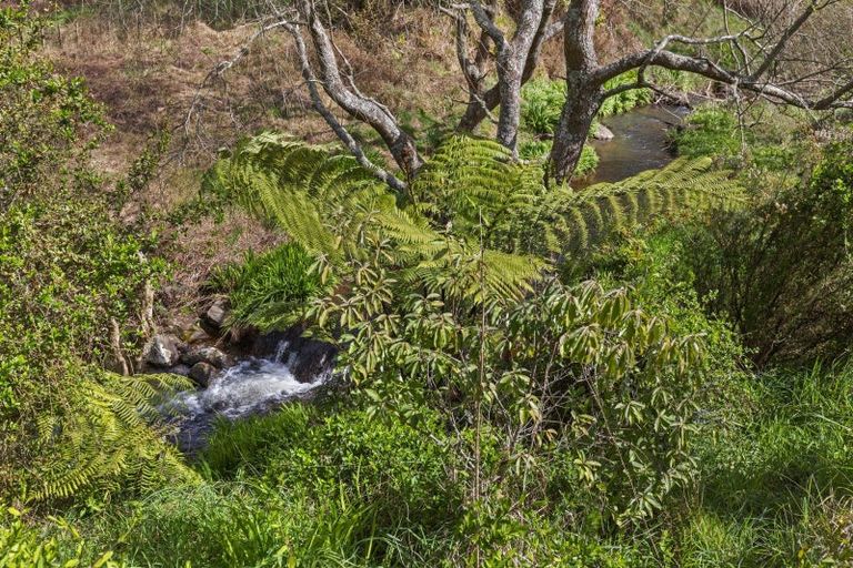 Photo of property in 265 Te Miro Road, Te Miro, Cambridge, 3496