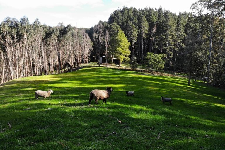 Photo of property in 74 Mick Dillon Road, Tahekeroa, Kaukapakapa, 0873