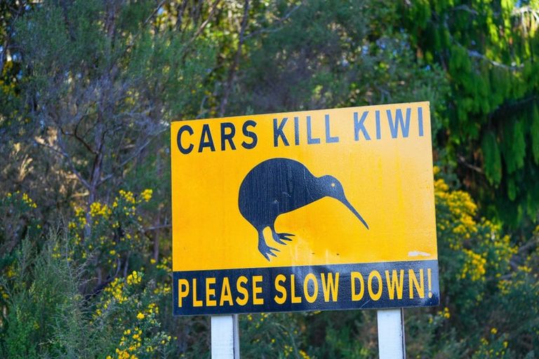 Photo of property in 4 Russell Street, Okarito, Whataroa, 7886