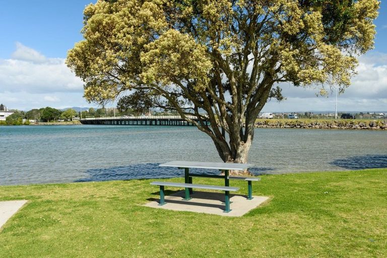 Photo of property in 42 Kulim Avenue, Otumoetai, Tauranga, 3110