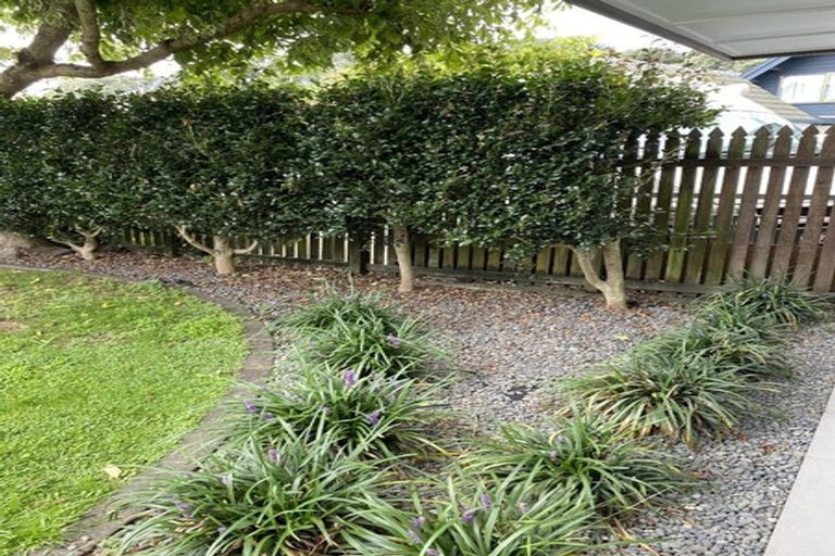 Photo of property in 43f Turret Road, Tauranga South, Tauranga, 3112
