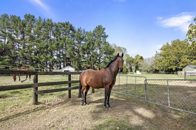 Photo of property in 273 Parewanui Road, Bulls, 4894