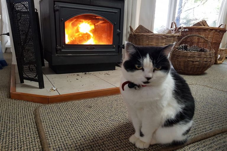 Photo of property in 59d Osborne Road, Amberley, 7410