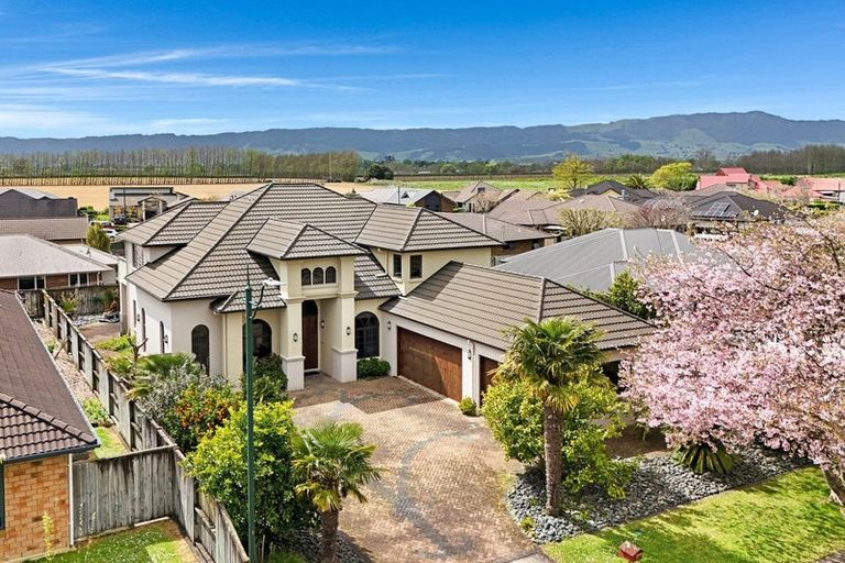 Photo of property in 83 Findlater Street, Matamata, 3400