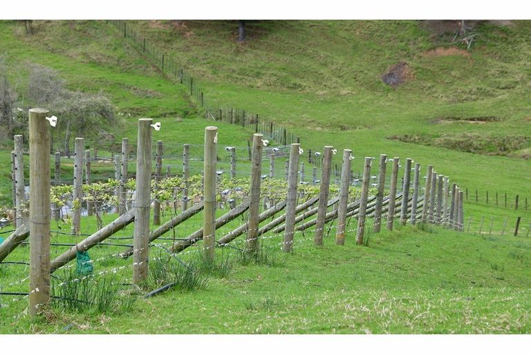 Photo of property in 133c Ahuroa Road, Puhoi, Warkworth, 0994