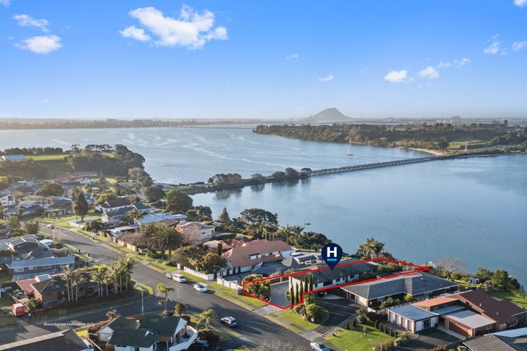 Photo of property in 91 Te Hono Street, Maungatapu, Tauranga, 3112