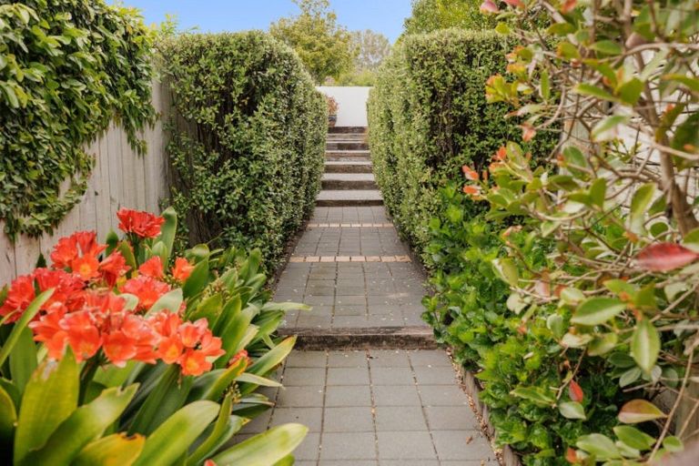 Photo of property in 16 Rexford Heights, Pyes Pa, Tauranga, 3112