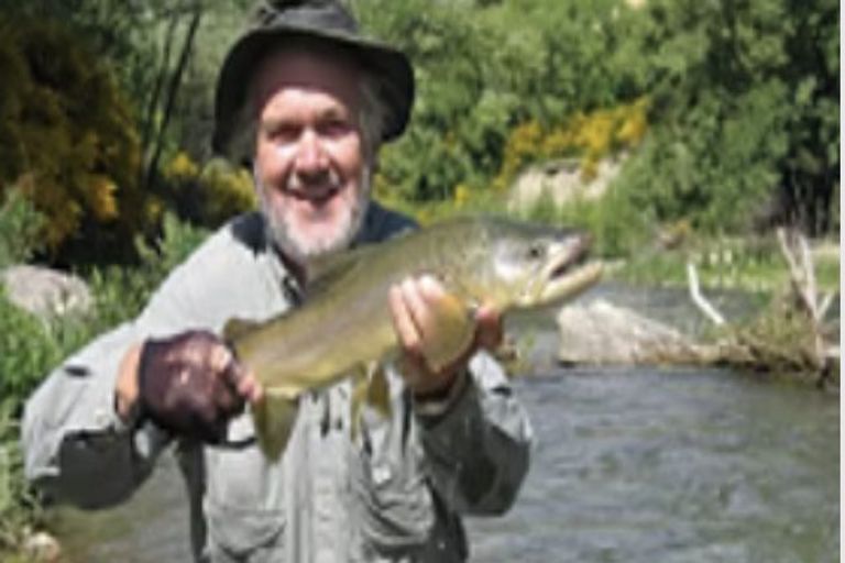 Photo of property in 10 Station Road, Tapanui, 9522