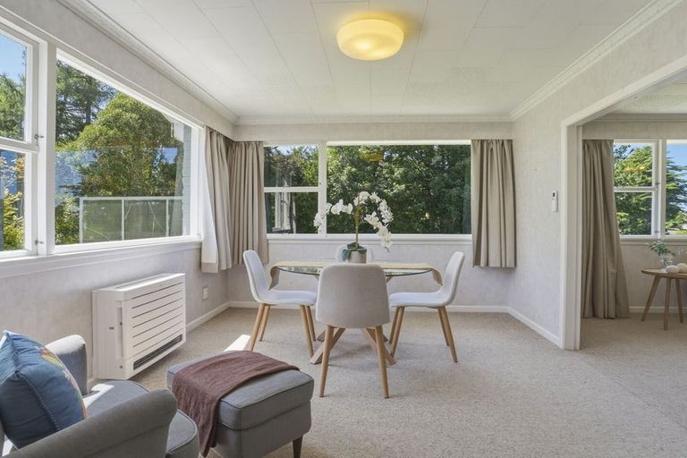 Photo of property in 1 Ferntree Drive, Wakari, Dunedin, 9010