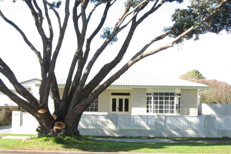 Photo of property in 33 Richmond Street, Fitzroy, New Plymouth, 4312