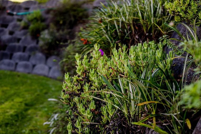 Photo of property in 140 Marsden Road, Greymouth, 7805