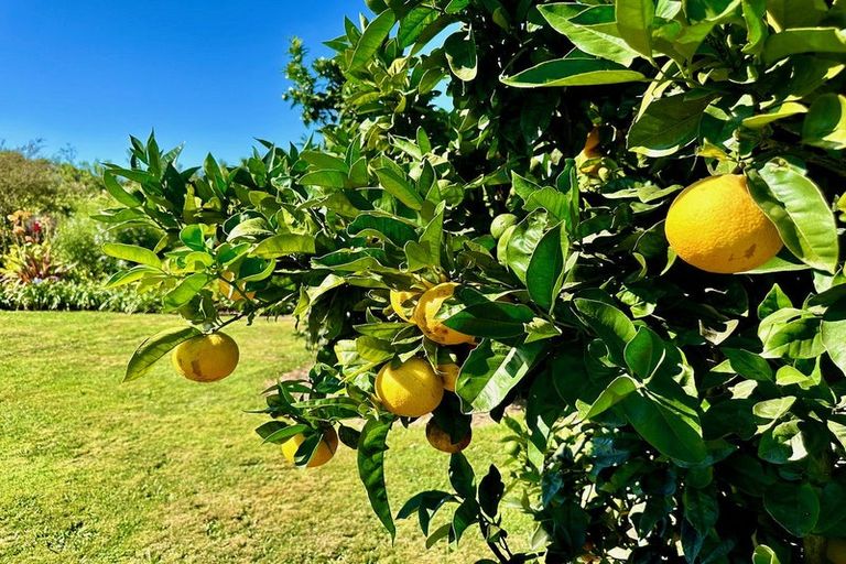 Photo of property in 3 Granny Tarr Street, Makaraka, Gisborne, 4010