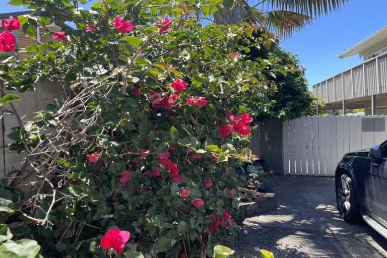 Photo of property in 337 East Coast Road, Mairangi Bay, Auckland, 0630
