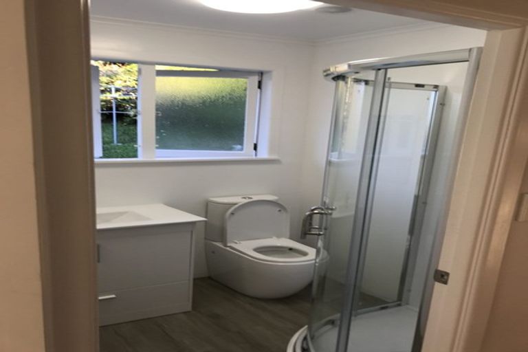 Photo of property in 44 Selwyn Crescent, Forrest Hill, Auckland, 0620