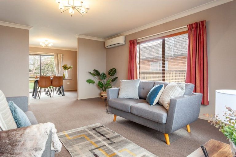 Photo of property in 54 Tower Road, Matamata, 3400