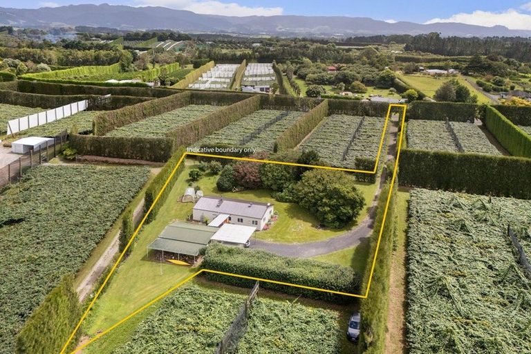 Photo of property in 81 Lockington Road, Aongatete, Katikati, 3181