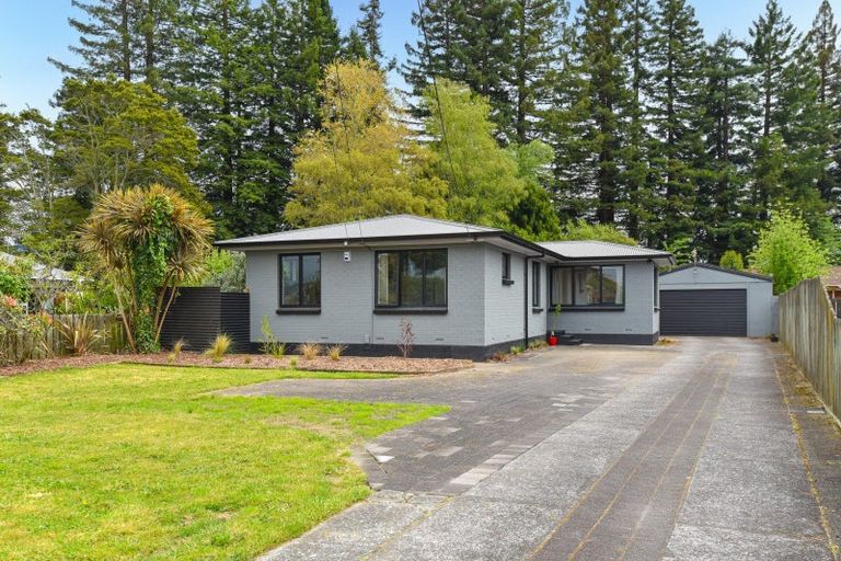 Photo of property in 19 La Trobe Place, Utuhina, Rotorua, 3015