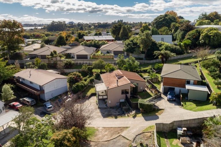 Photo of property in 169b Ohauiti Road, Hairini, Tauranga, 3112