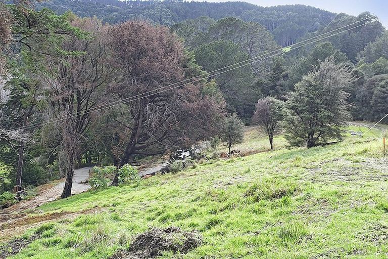 Photo of property in 99 Birdsall Road, Whangateau, Warkworth, 0985