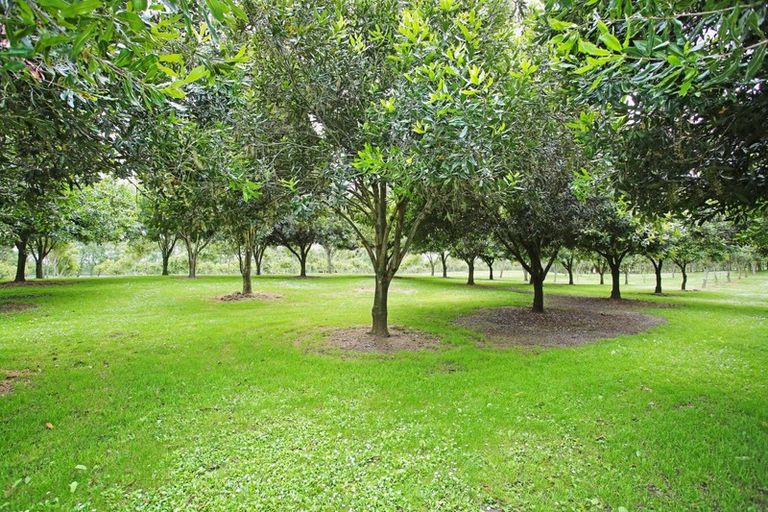 Photo of property in 26 Ernest George Drive, Karaka, Papakura, 2580