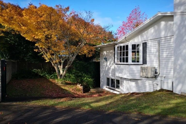 Photo of property in 253 Hukanui Road, Chartwell, Hamilton, 3210