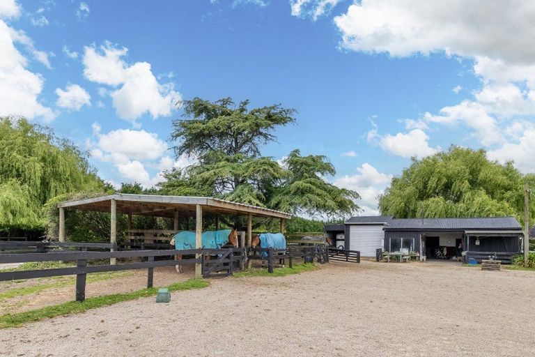 Photo of property in 191 Hautapu Road, Pukemoremore, Cambridge, 3493