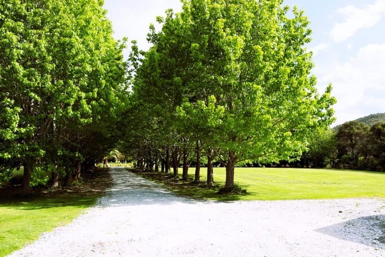 Photo of property in 742a Tara Road, Mangawhai, Kaiwaka, 0573