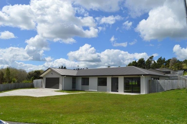 Photo of property in 45 Hartis Avenue, Huntly, 3700