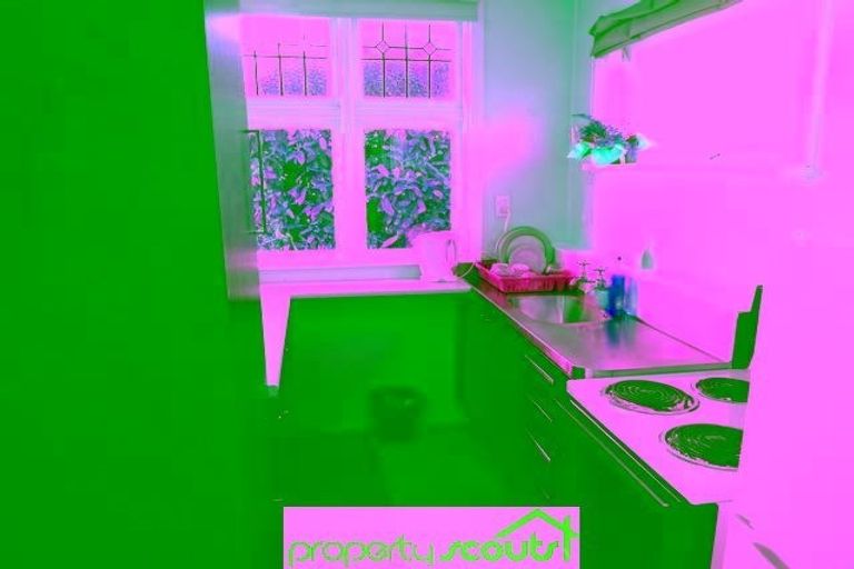 Photo of property in 1/57 Duncan Street, Dunedin Central, Dunedin, 9016