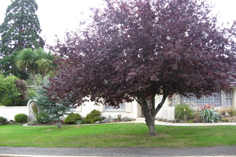 Photo of property in 1 Park Lane, Fairfield, Dunedin, 9018