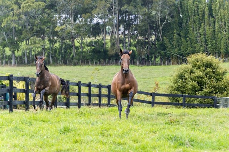 Photo of property in 145 Hanham Road, Kumeu, 0891